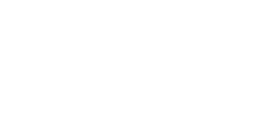 LogoUDG FUNDACIO